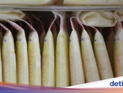 Kata Kemenkes soal Pemberian ASI Terbaik, Disimpan Ke Freezer Bisa Rusak Standar?