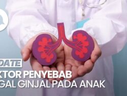 Penyebab Utama Gagal Ginjal Dini Ke Anak