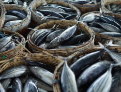 5 Produk Unggulan yang Diimpor Indonesia Di Rusia, Ada Pupuk hingga Ikan