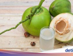 Apakah Air Kelapa Bermanfaat Sebagai Menurunkan Trigliserida? Ini Penjelasannya