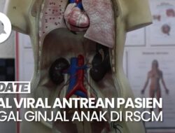 RSCM dan IDAI Bantah Adanya Lonjakan Peristiwa Pidana Hukum Gagal Ginjal Anak