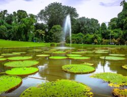 7 Tempat Wisata Di Bogor Untuk Liburan Singkat Bareng Keluarga