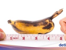 Horor! Penis Pria Menghitam dan Membusuk sampai Harus Diamputasi, Ini Sebabnya