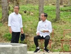 Besok, Jokowi Kunker Hingga IKN Cek Tempat Upacara 17 Agustus