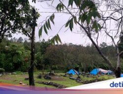 4 Tempat Camping Ke Cibodas, Suguhkan Pemandangan Indah dan Udara yang Sejuk