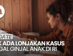 Penegasan IDAI Yang Berhubungan Di Tak Ada Lonjakan Perkara Pidana Hukum Gagal Ginjal Anak