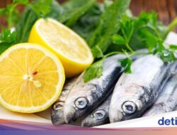 3 Ikan yang Punya Kalsium Tinggi, Baik Bagi Keadaan Tulang
