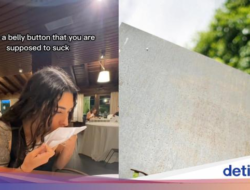 Habiskan Rp 16 Juta Hingga Resto Michelin, Influencer Kecewa Makanannya Tak Enak