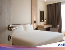 Hotel-hotel Hingga Turki Kosong, Ternyata Ini Penyebabnya