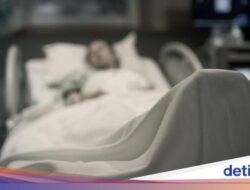 Geger Brasil Catat Kematian Pertama Patogen Oropouche Hingga Dunia, Tertular Untuk Mana?