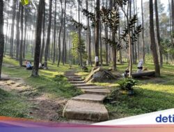 Suhu Bandung Dari Sebab Itu Lebih Dingin, Ini Penjelasan Ahli ITB