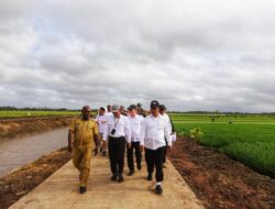 Kementan Kembangkan Varietas Padi Cakrabuana Ke Merauke, Adaftif Pada Krisis Lingkungan