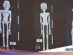 Perdebatan ‘Mumi Alien’ Di Peru, Sidik Jarinya Disebut Tak Cocok Di Manusia