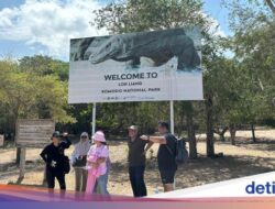 TN Komodo Ditutup Pertengahan Tahun 2025, Ini Imbauan Kemenparekraf