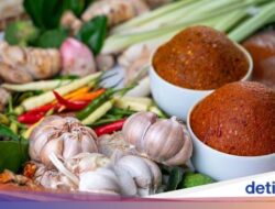 5 Tips Memperbaiki Metabolisme dan Kesejaganan Pencernaan