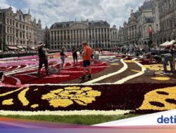 Pecinta Bunga Harus Datang Sih Hingga Belgia, Ada ‘Karpet Bunga Raksasa’