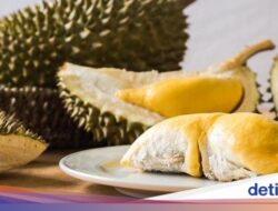 Tips Menghilangkan Bau Durian yang Menempel Di Ruangan dan Kulkas