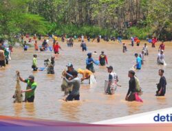 Melihat Keseruan Kebiasaan Menahan Ikan Ke Grobogan