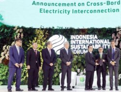 TotalEnergies dan RGE Siap Pasok 1,0 GW Tenaga Surya Hingga Singapura