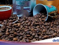 Belajar Minuman Kafein Sambil Cicip Ragam Single Origin Nikmat Ke Kafe Situbondo