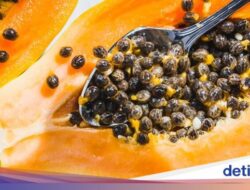 Biji Pepaya Ternyata Bisa Dimakan, Ini Manfaatnya Sebagai Kesejajaran