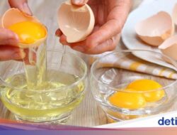 5 Manfaat Putih Telur Untuk Keadaan, Betulan Manjur Pangkas BB Di Pola Makan?