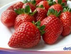 Stroberi Bijin Hime Termahal Di Dunia, Harganya Rp 5,5 Juta Per Buah