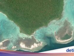 Coba Hubungi Suku Paling Terasing Sedunia, Turis AS Ditangkap