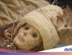 5 Penemuan Keju Tertua Ke Dunia, Ada yang Berusia 7.200 Tahun!