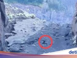 Kronologi Turis Wanita Asal Brasil Jatuh Di Jurang Rinjani