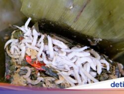 3 Resep Daun Singkong Lezat, Tumisan hingga Kuah Santan