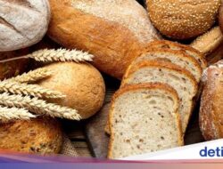 Roti Gandum Lebih Sehat Bersama Roti Tawar Putih, Ini Cara Pilihnya