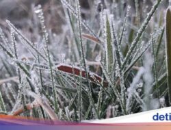 Suhu Minus 2 Derajat Celcius!