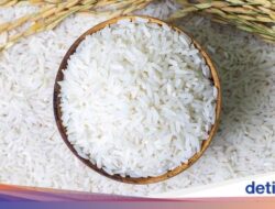 7 Ciri Beras Berkualitas Bagus, Panduan agar Terhindar Bersama Beras Oplosan