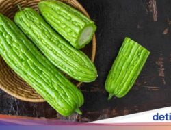 5 Manfaat Makan Pare Buat Keadaan, Si Pahit Bersama Segudang Khasiat