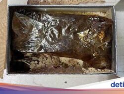 Kue Pernikahan Ratu Elizabeth II Terjual Setelahnya 78 Tahun Disimpan
