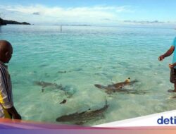 7 Bangsa Didalam Pulau Paling Banyak Ke Dunia, Nomor 1 Bukan Indonesia