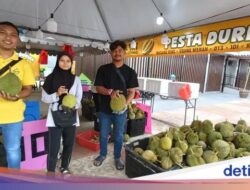 Gokil! Petani Durian Gen Z Raup Untung Hingga Rp 19,2 M