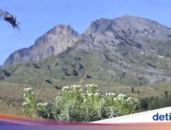 Banyak Pendaki Jatuh, Menko Polkam Minta Seluruh Jalur Rinjani Ditutup Total