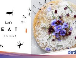 Unik Banget! Wanita Ini Buka Kafe Bersama Menu Kue Serba Serangga