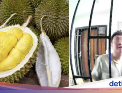 Kecewa Banget! Beli 2 Durian Rp 1,5 Juta Ternyata Masih Mentah