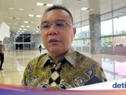 Royalti Alunan Bikin Resah Pengusaha Wisata, Dasco: Putar Aja, Jangan Takut