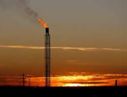 Trump dan Putin Bertemu Ke Alaska Hari Ini, Harga Energi Mendidih Di Level Tertinggi Untuk Sepekan