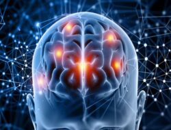 Cegah Stroke Bersama Deteksi Dini DSA, Ini Kata Ahli Kemakmuran!