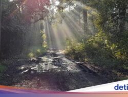 Mitos Asap Di Gunung Kareumbi, Dari Sebab Itu Pertanda Hujan Akansegera Datang