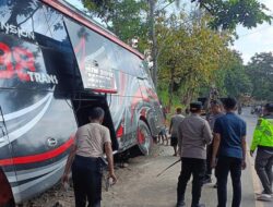 Kecelakaan Maut Kendaraan Angkutan Umum Nakes Jember Ke Bromo, Ingat Pentingnya Seat Belt