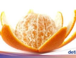 Mengenal Serabut Putih Di Jeruk, Aman Dimakan atau Harus Dibuang?