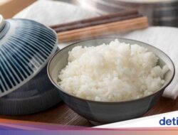 Ngantuk Berat Usai Makan Nasi? Coba 5 Tips Sederhana Ini!