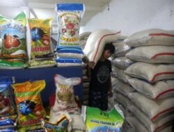 Penghapusan Beras Medium dan Premium Tunggu Restu Kepala Negara