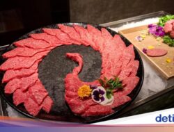 Kabar Baik! Wagyu Jepang Asli Kini Banyak yang Sudah Halal Di Indonesia